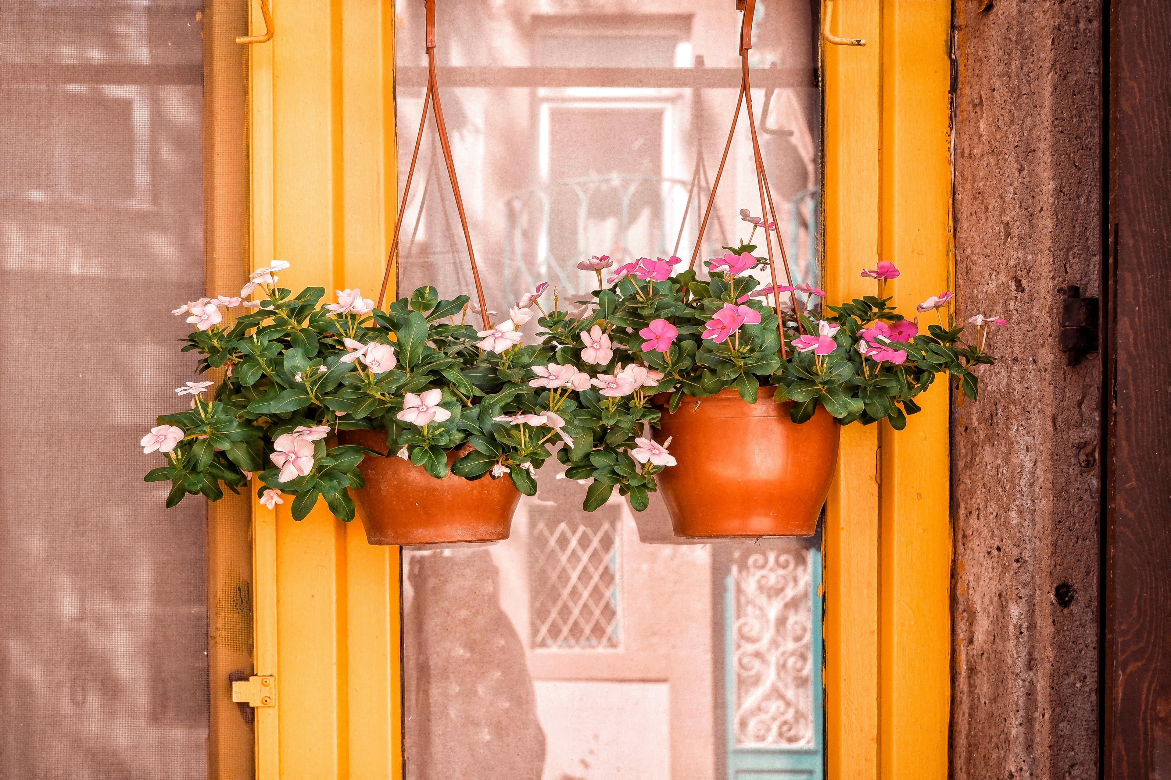 Bright yellow window with hanging pink flower pots illustrating outdoor summer decor trends.